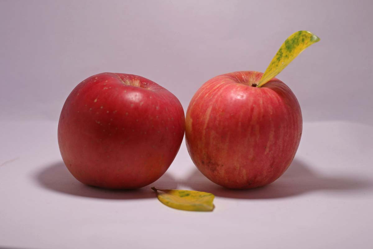 Two apples
